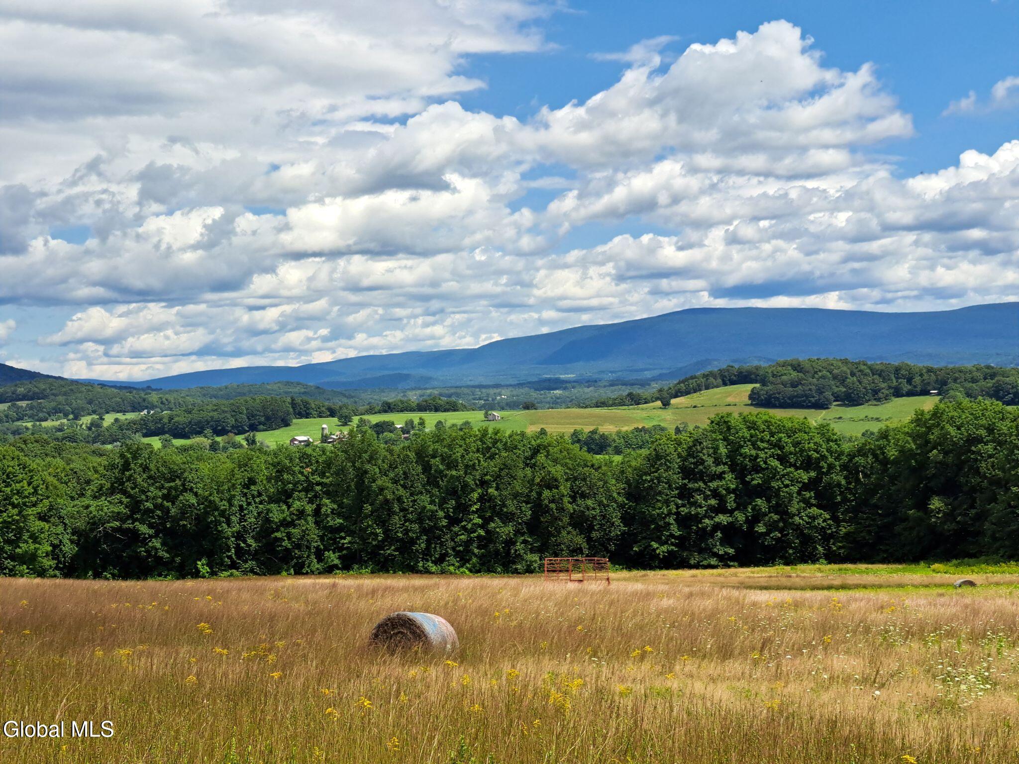 9.1 State Line Road White Creek, NY 12057 - Photo 65 of 72 66 Roundbales and Hay Wagon