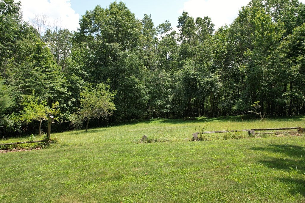 442 Fisher Road Fancy Gap, VA 24328 - Photo 42 of 50 Gallery Image 42