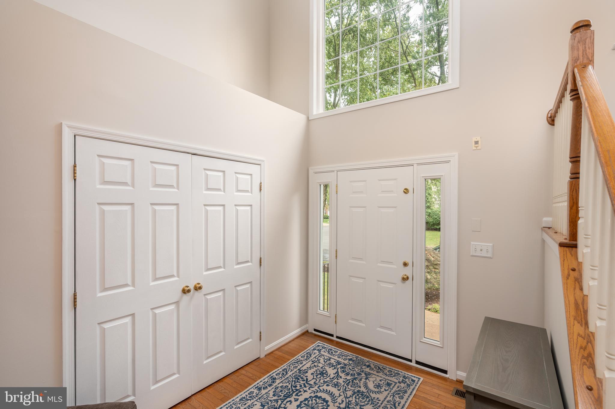47543 Rippling Drive Sterling, VA 20165 - Photo 7 of 52 Foyer filled with light