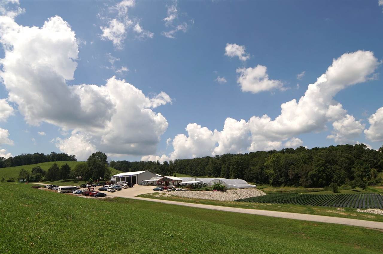 1056 Damron Branch Road Grayson, KY 41143 - Photo 10 of 10