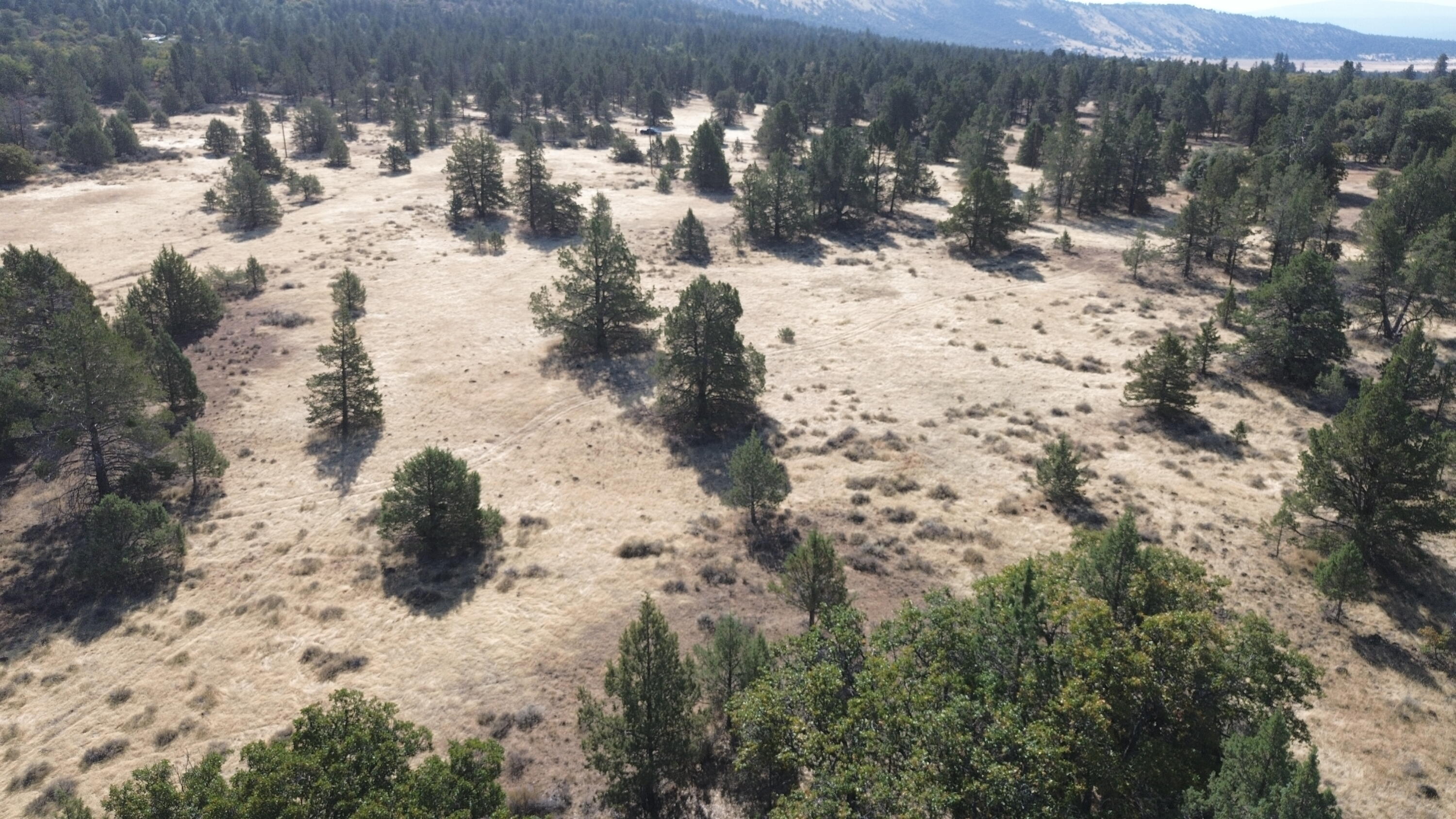 Nsa Old Hwy Road McArthur, CA 96056 - Photo 15 of 21 DJI_0404