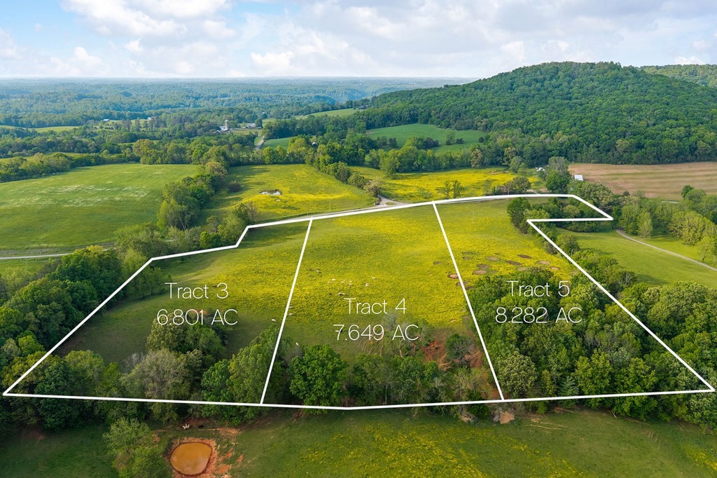 0 Webbs Camp Walling, TN 38587 - Photo 8 of 38 Gallery Image 8