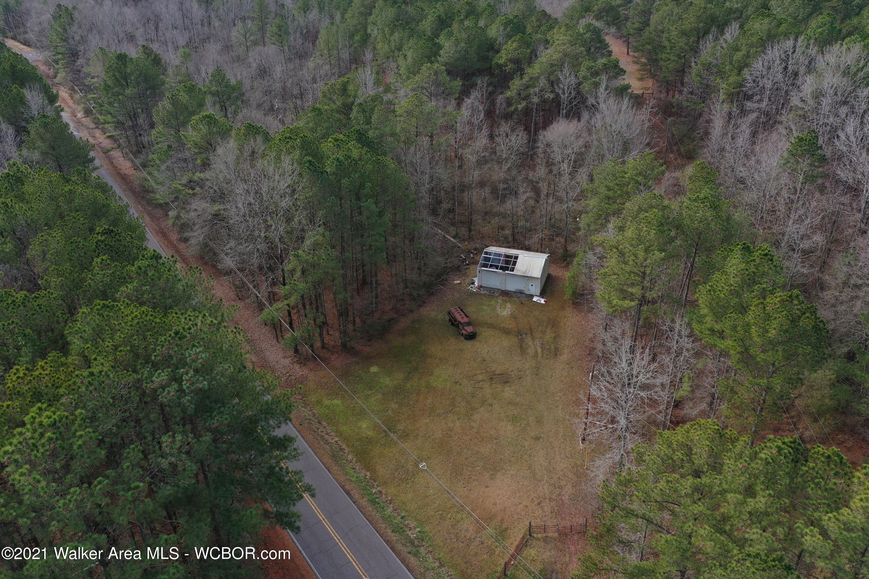 6441 Snowville Brent Road Dora, AL 35062 - Photo 2 of 3 Gallery Image 2