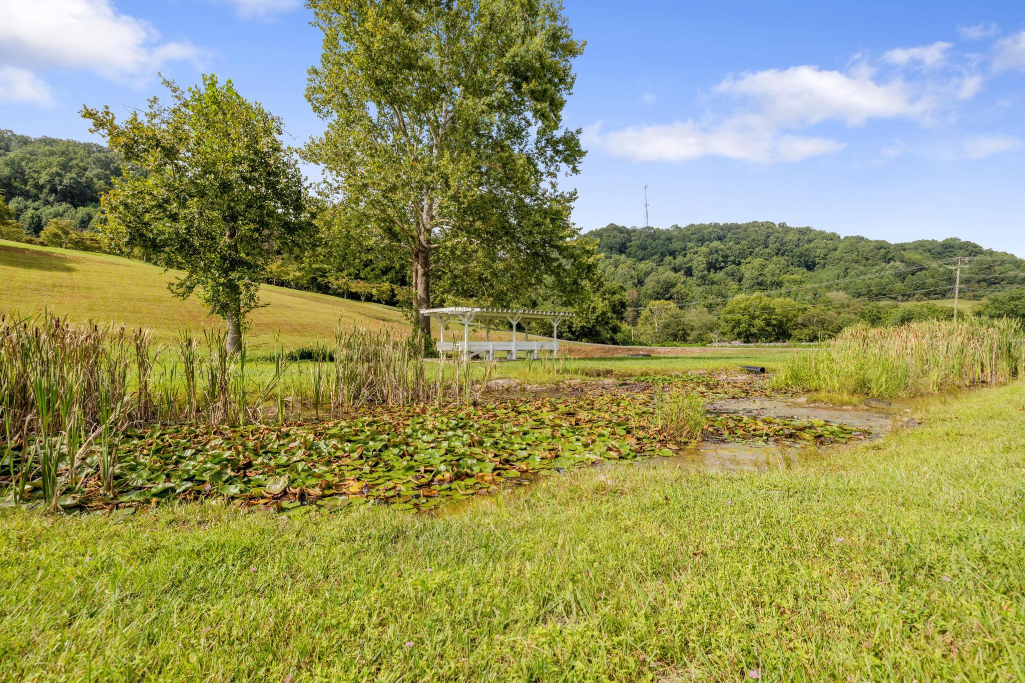2561 East Carters Valley Road Gate City, VA 24251 - Photo 54 of 68 IMG_3698