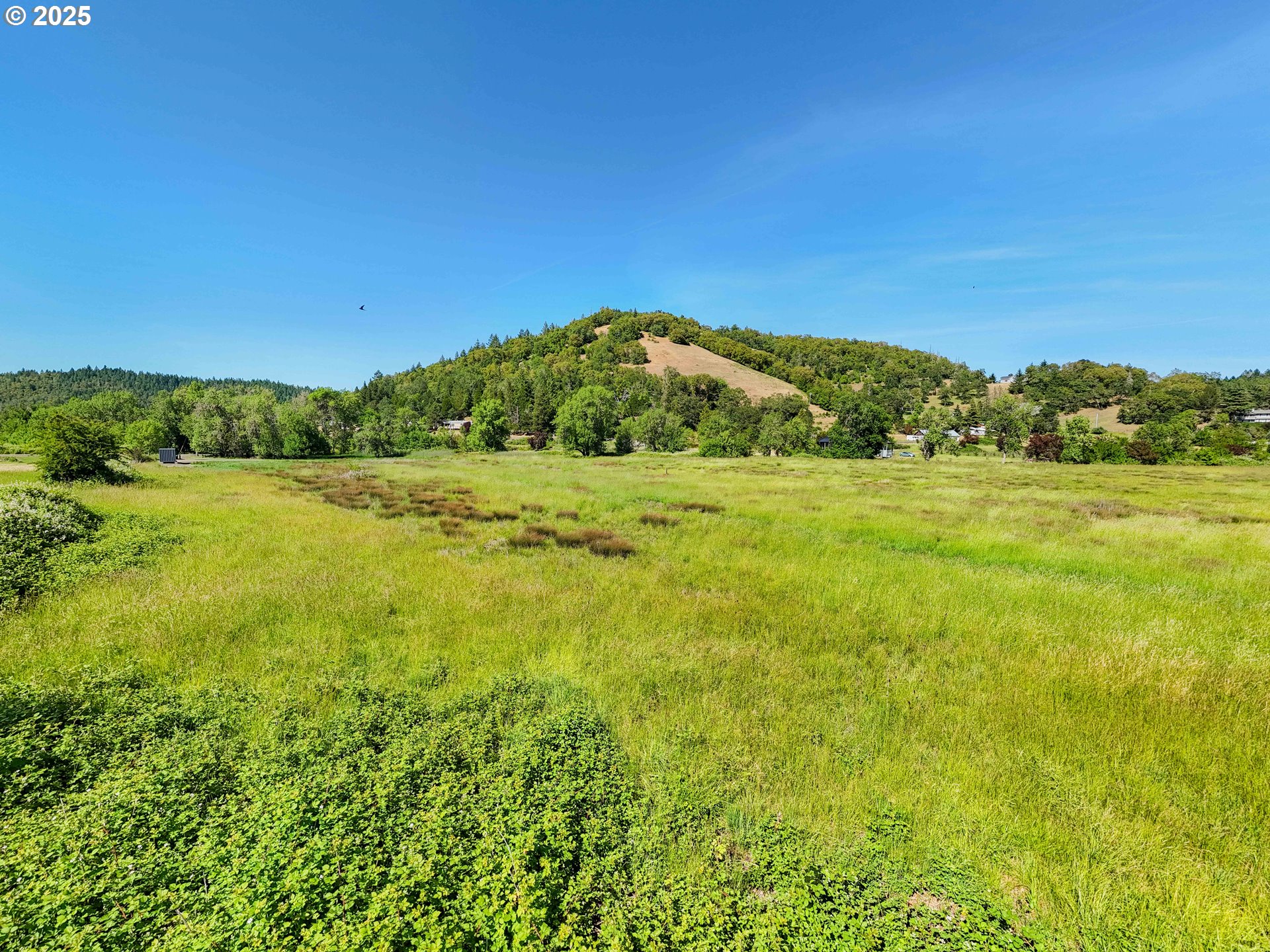 0 Healy Road Roseburg, OR 97471 - Photo 13 of 15