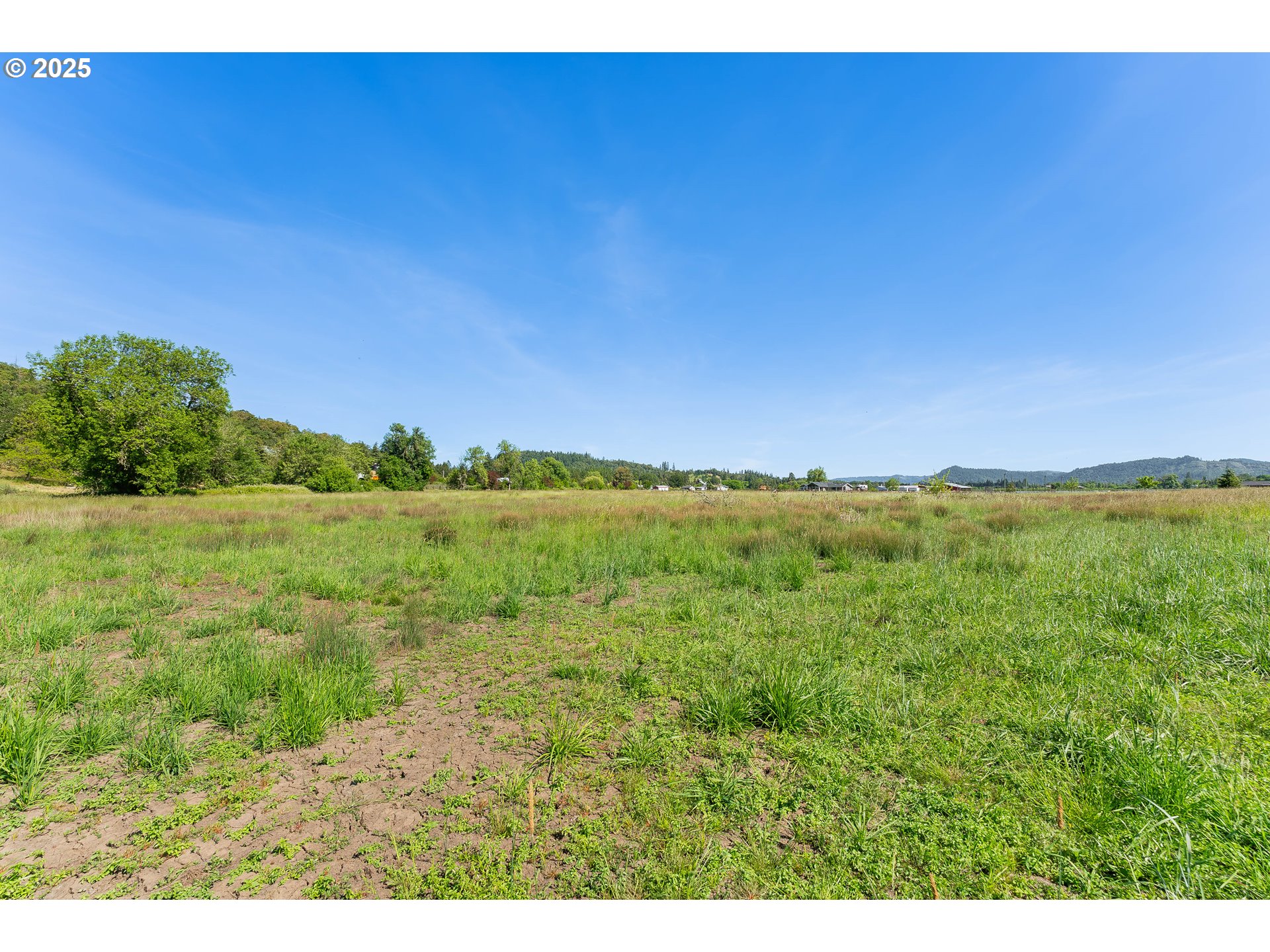 0 Healy Road Roseburg, OR 97471 - Photo 9 of 15