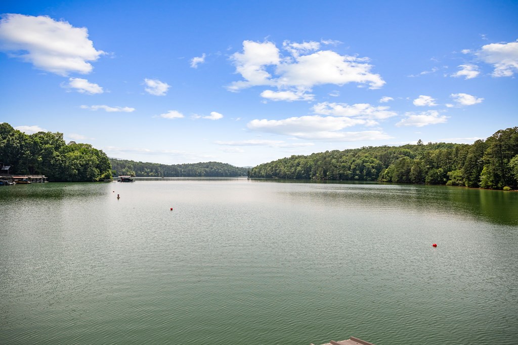 128 Overlake Court Morganton, GA 30560 - Photo 85 of 95