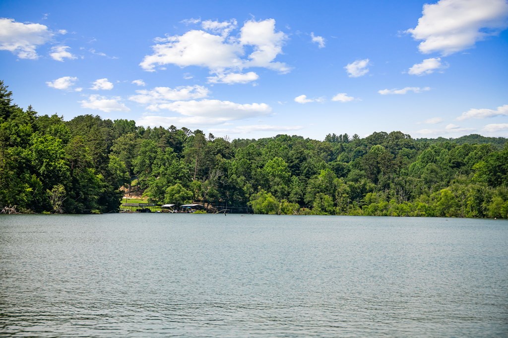 128 Overlake Court Morganton, GA 30560 - Photo 95 of 95