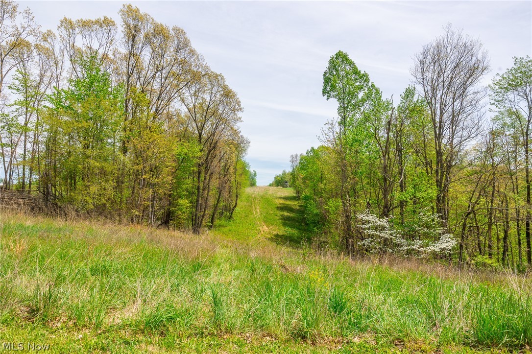 6268 Kings Ridge Road Newcomerstown, OH 43832 - Photo 2 of 46