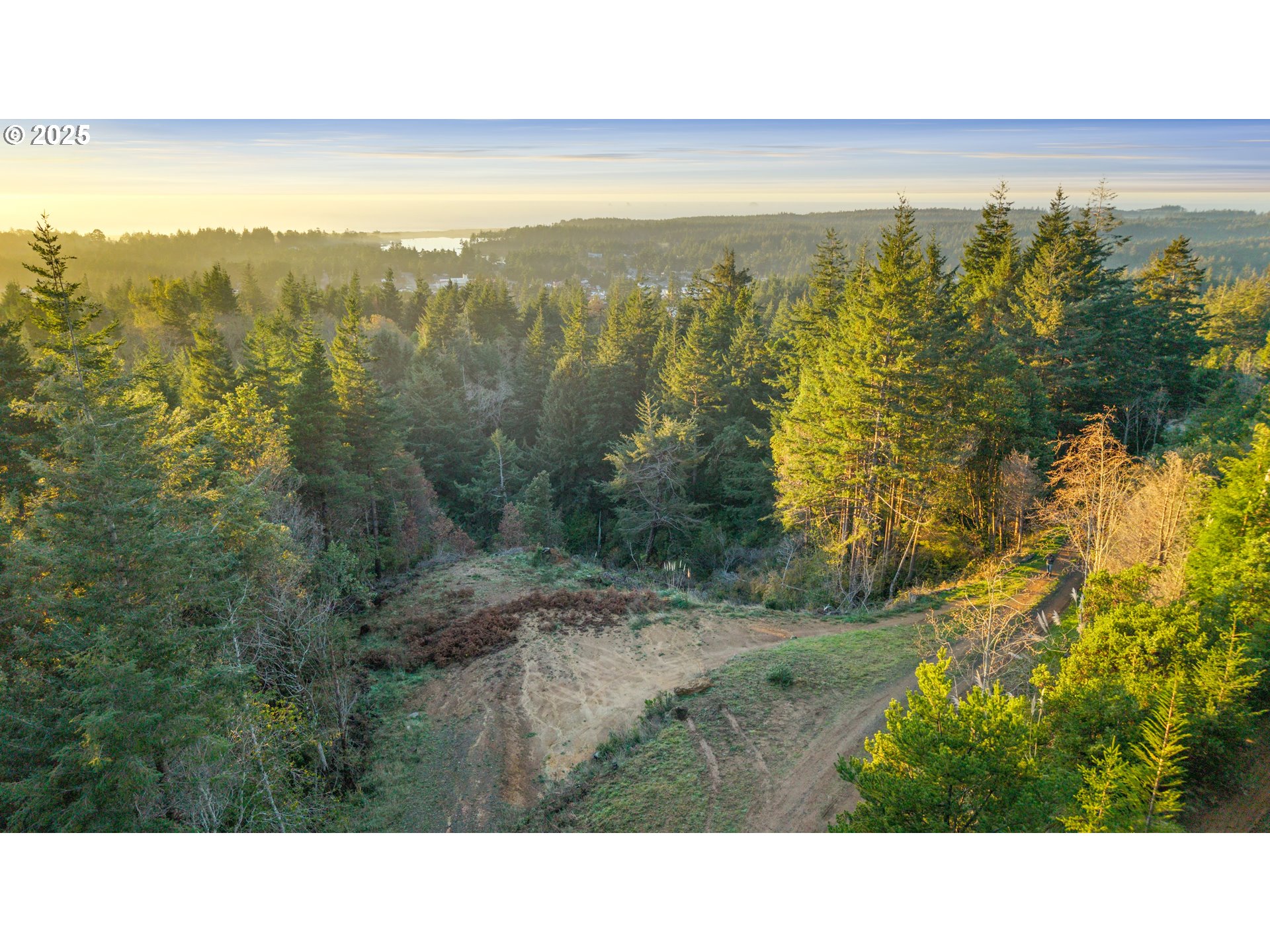 a view of a city with mountains in the background