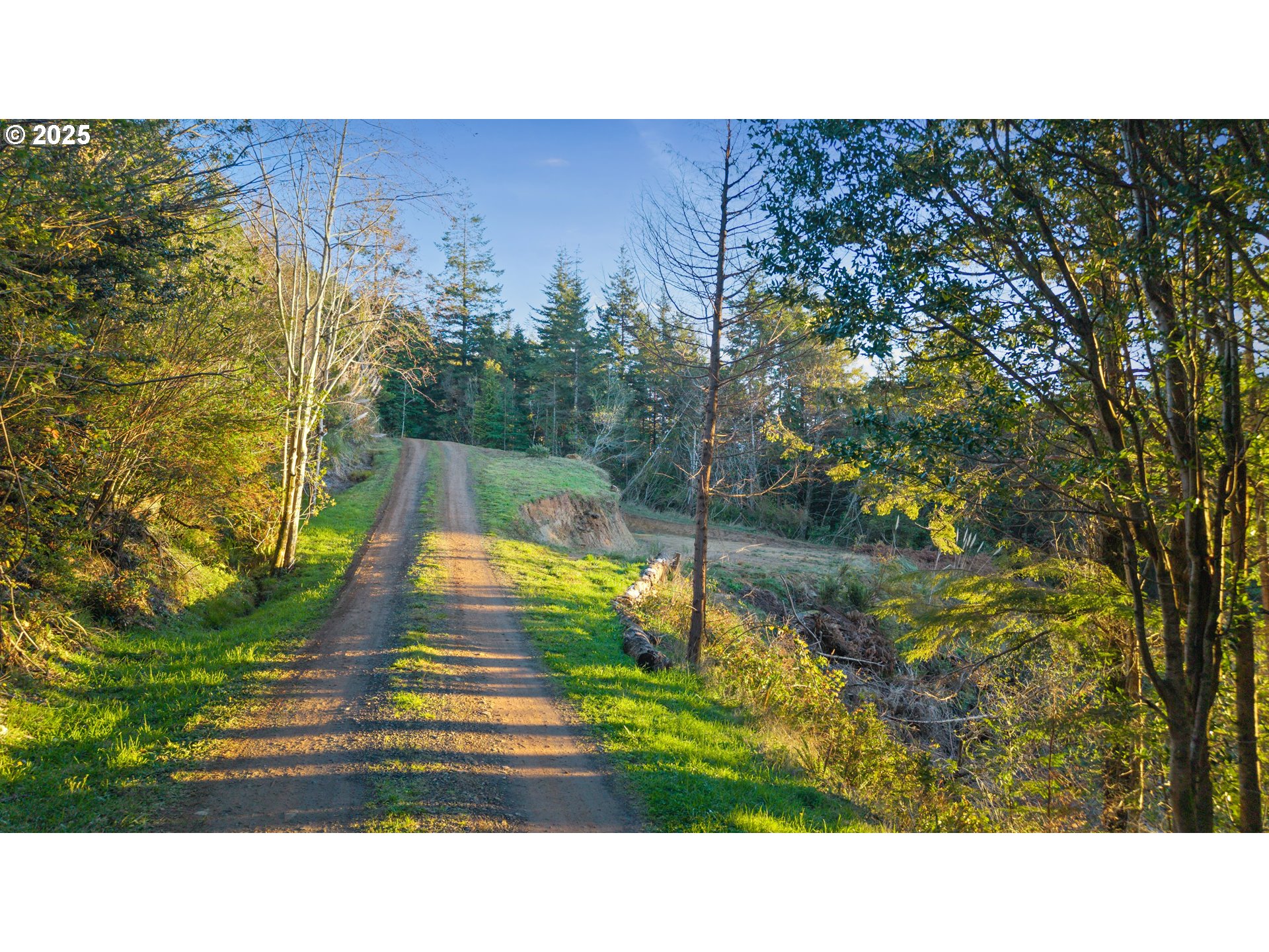 Dee Terrace Port Orford, OR 97465 - Photo 3 of 11