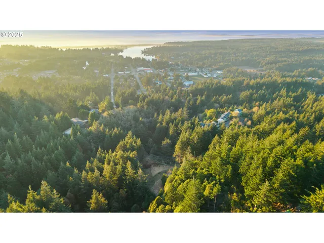 a black and white photo of a lake
