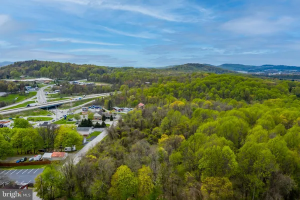 a view of a city with lush green forest