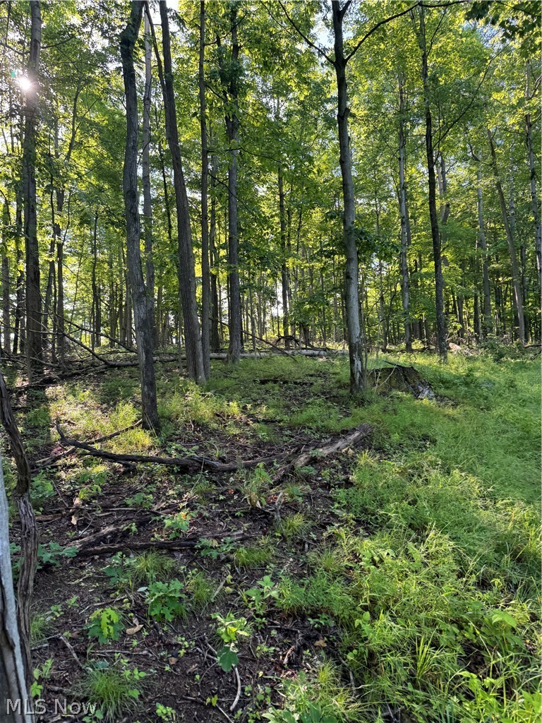 Stone Quarry Road Danville, OH 43014 - Photo 22 of 50