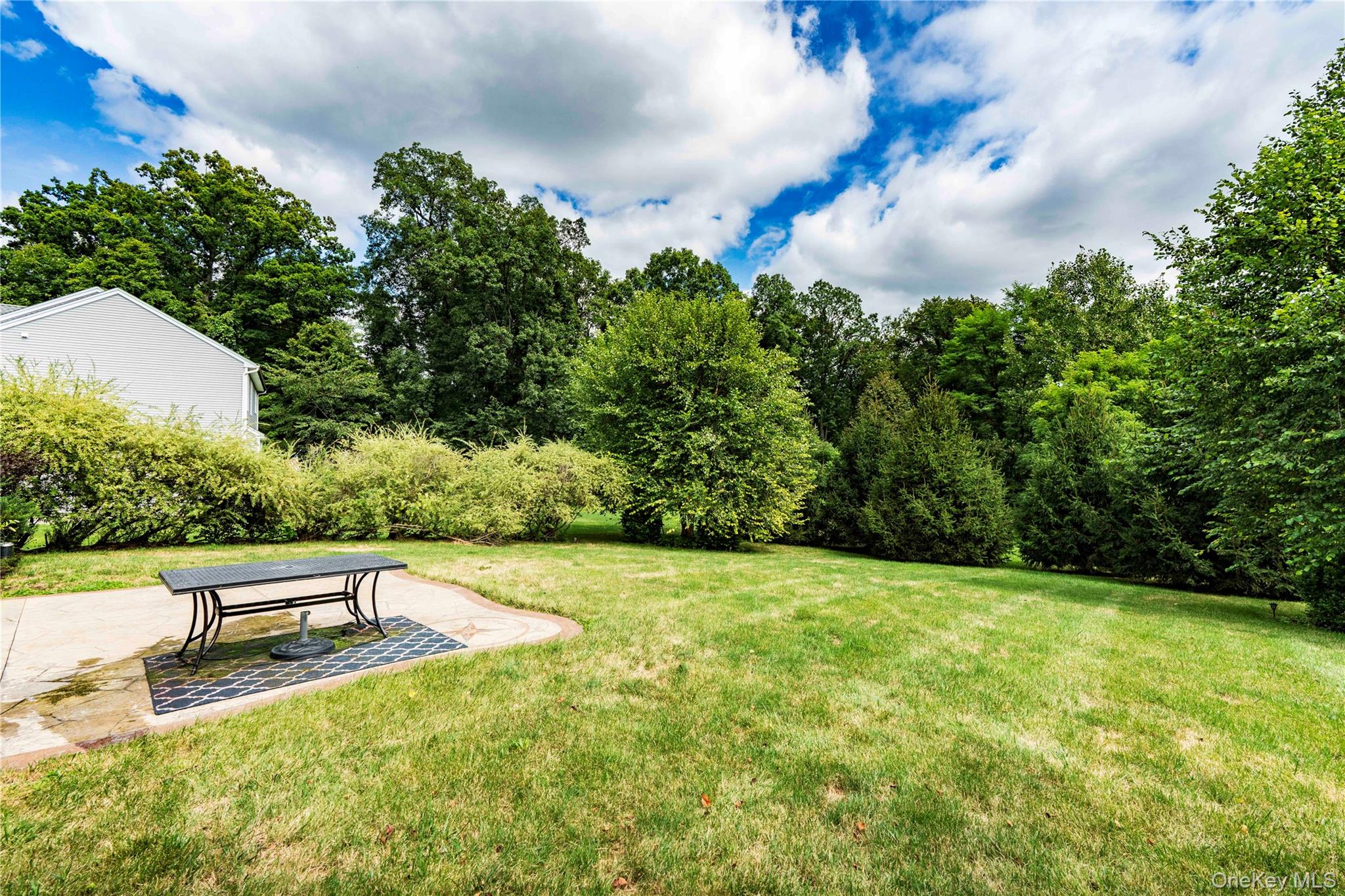 78 Moore Road Hopewell Junction, NY 12533 - Photo 37 of 38 View of green lawn featuring a patio area and view of wooded area