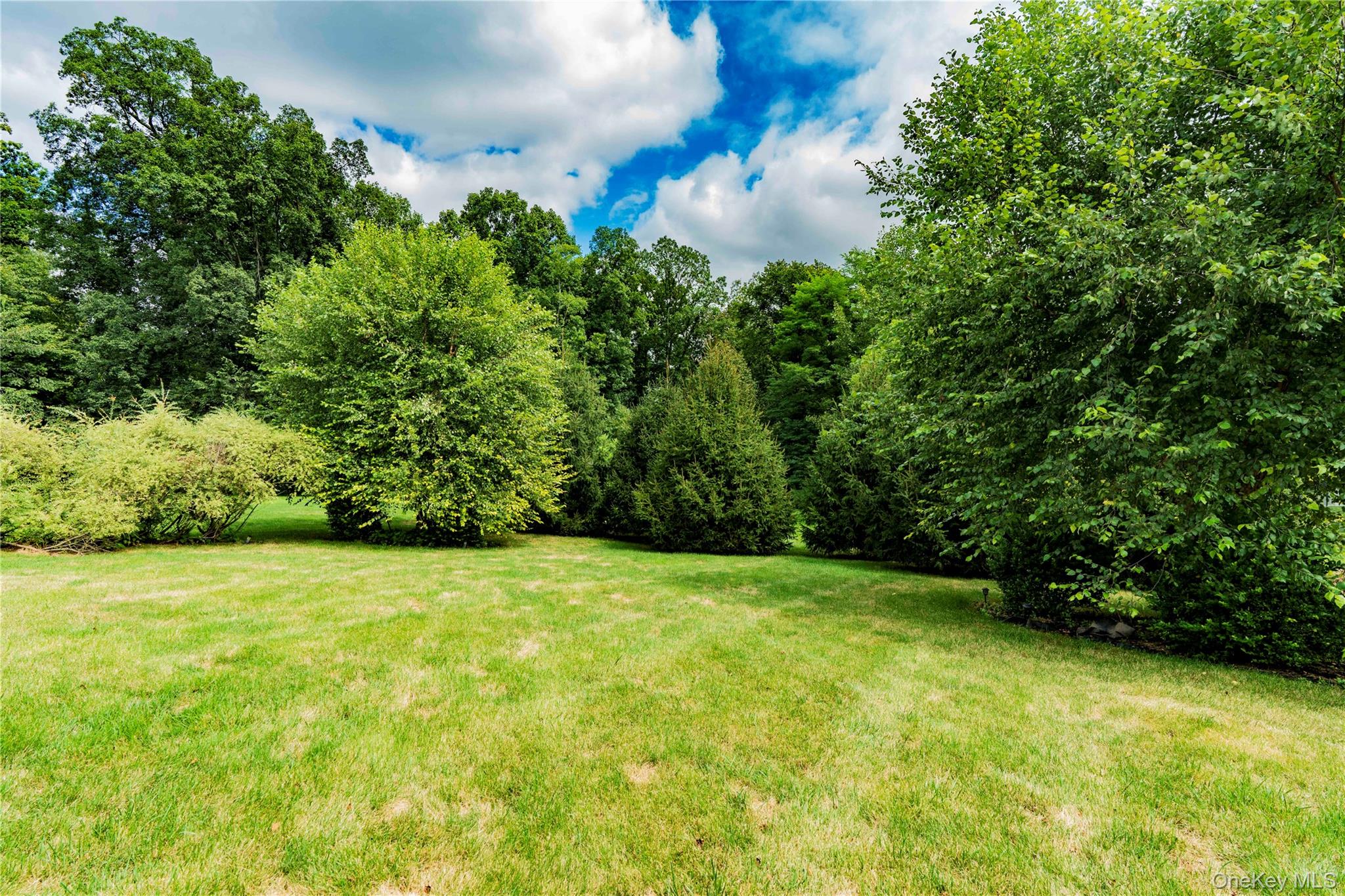 78 Moore Road Hopewell Junction, NY 12533 - Photo 38 of 38 View of grassy yard