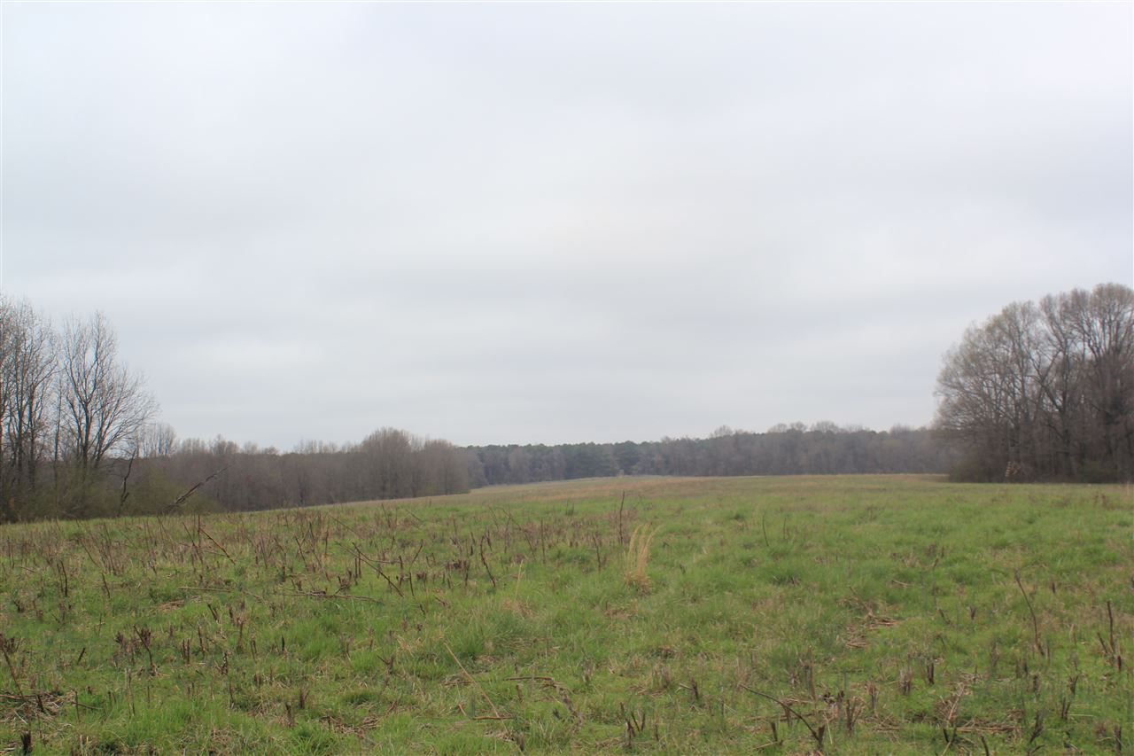 100 Tate Panola Road Senatobia, MS 38668 - Photo 14 of 25 Gallery Image 14