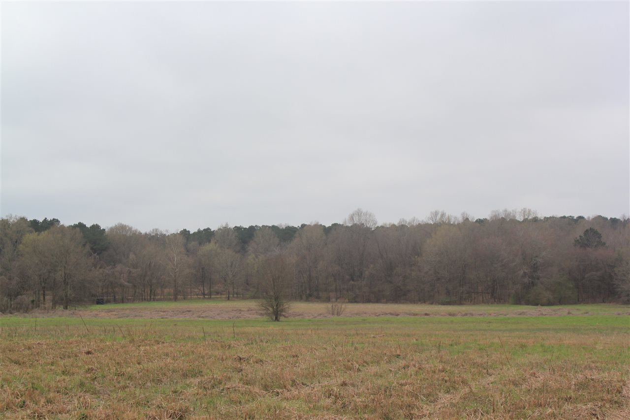 100 Tate Panola Road Senatobia, MS 38668 - Photo 22 of 25 Gallery Image 22