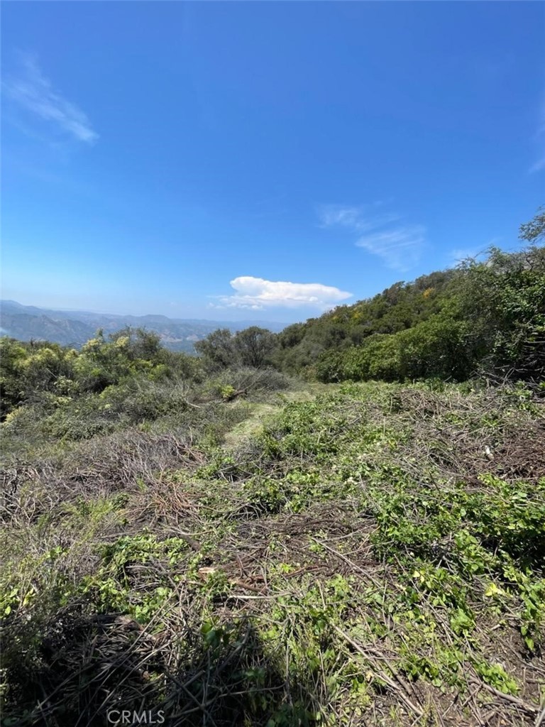 24575 Piuma Road Malibu, CA 90265 - Photo 5 of 5 a view of a lush green forest