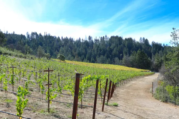 $5,395,000 | 1755 Diamond Mountain Road, Calistoga, CA 94515