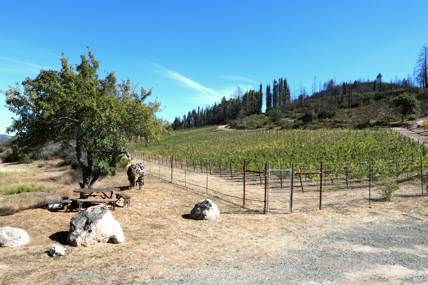 1755 Diamond Mountain Road Calistoga, CA 94515 - Photo 55 of 67