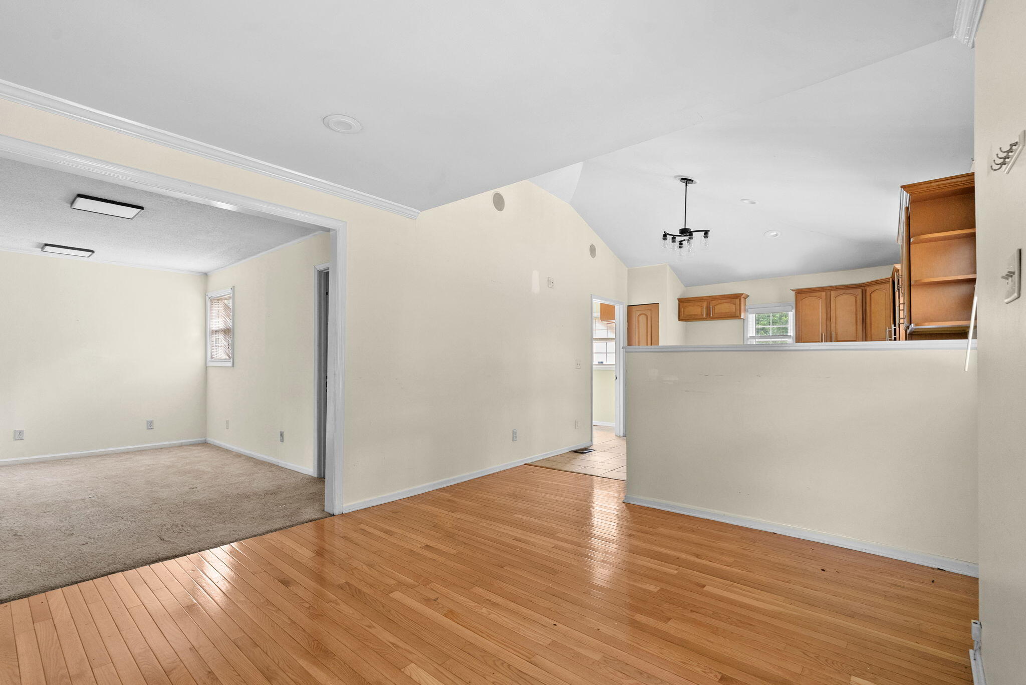 224 Rodenberry Road Cross, SC 29436 - Photo 10 of 47 10-web-or-mls-BARCLAY MEDIA CO-9