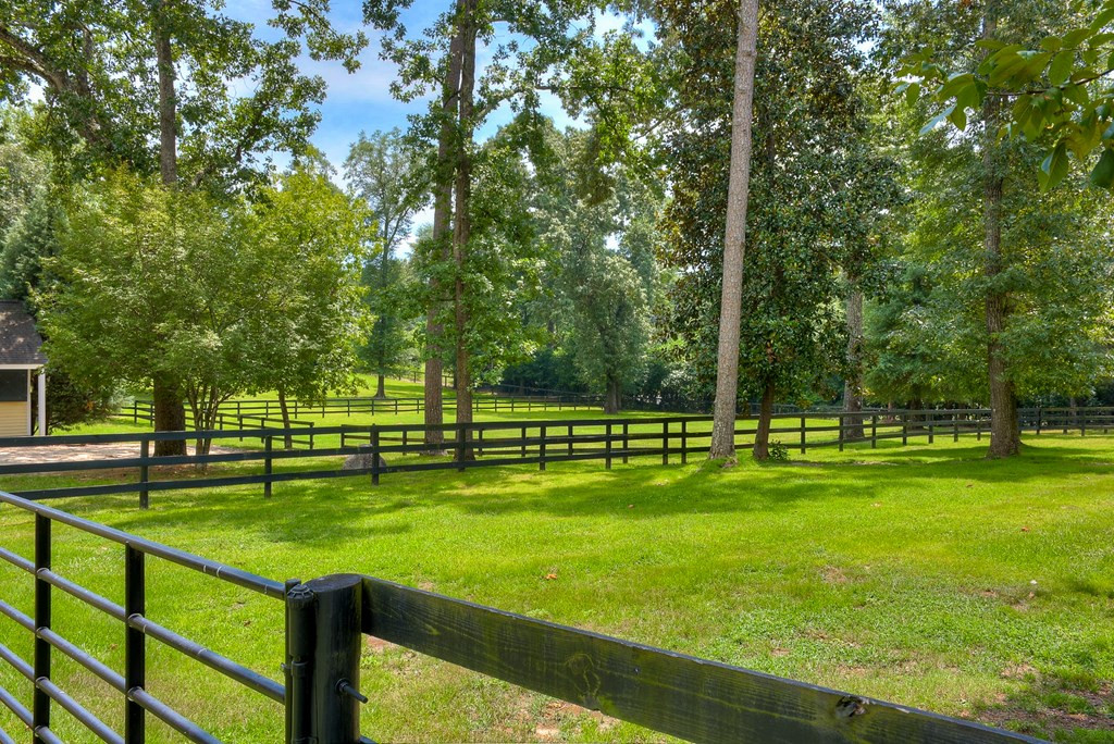 215 Berrie Road Aiken, SC 29801 - Photo 47 of 47 Gallery Image 47