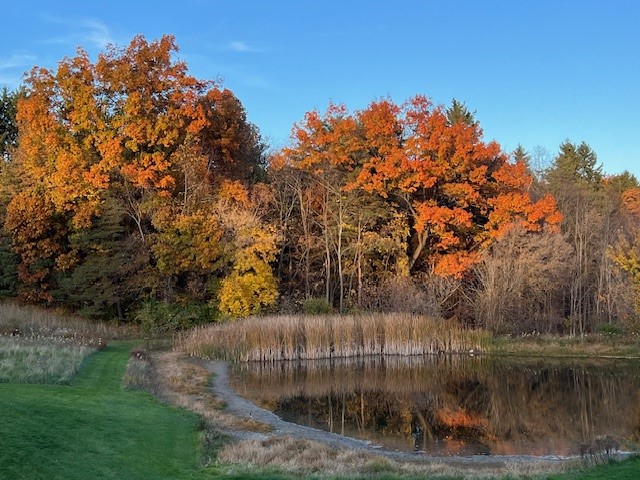 7340 Dryer Road Victor, NY 14564 - Photo 41 of 46