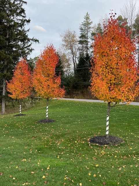 7340 Dryer Road Victor, NY 14564 - Photo 44 of 46