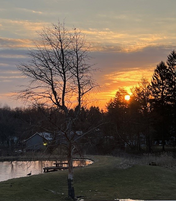 7340 Dryer Road Victor, NY 14564 - Photo 45 of 46