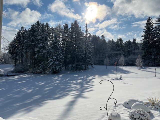 7340 Dryer Road Victor, NY 14564 - Photo 46 of 46