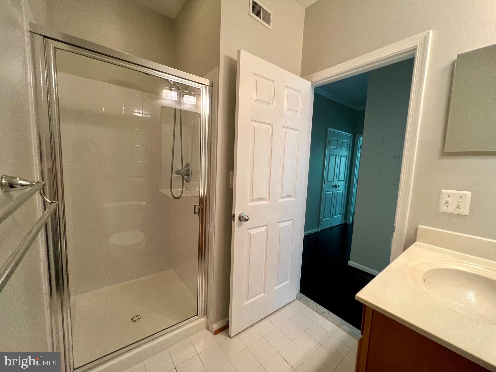1509 North Point Drive, Unit 303 Reston, VA 20194 - Photo 17 of 44 Hall bathroom w/ stand up shower