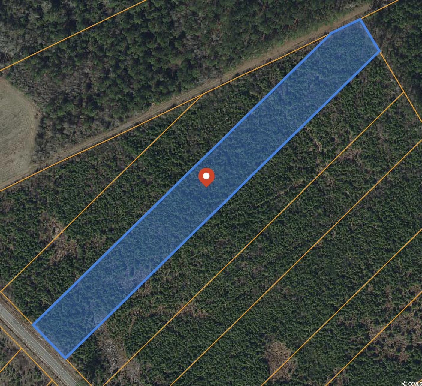 Lot 3 Black Creek Road Nichols, SC 29581 - Photo 2 of 12