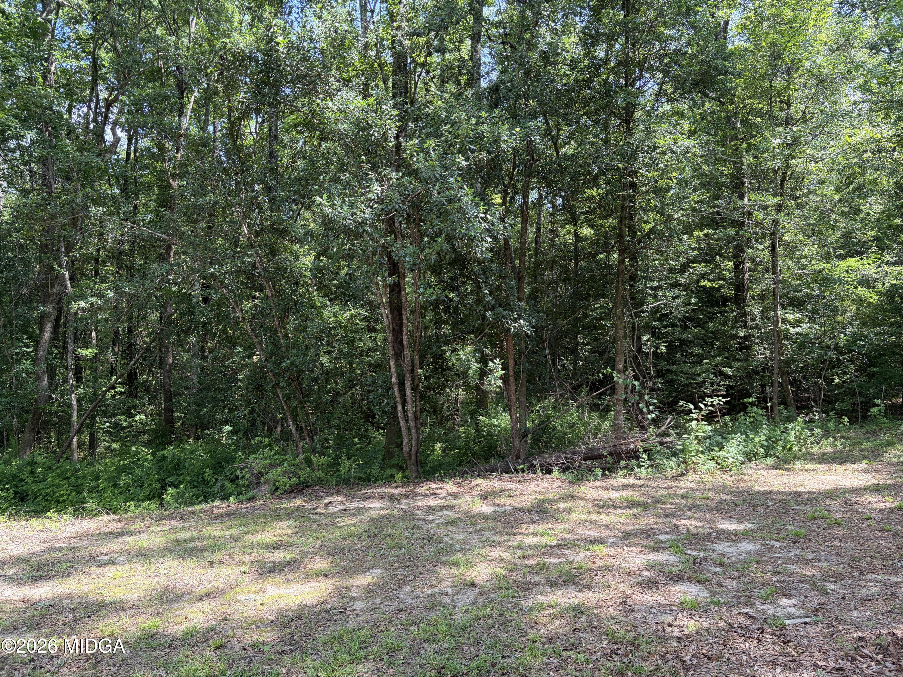 412 Hummingbird Way Lizella, GA 31052 - Photo 5 of 18 IMG_1027