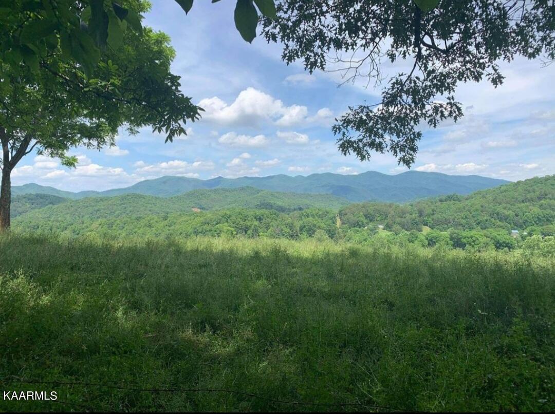 Tbd Wolf Creek Road Del Rio, TN 37727 - Photo 1 of 6 0E2C27EE-E047-4AF1-9216-3EC9D2757961