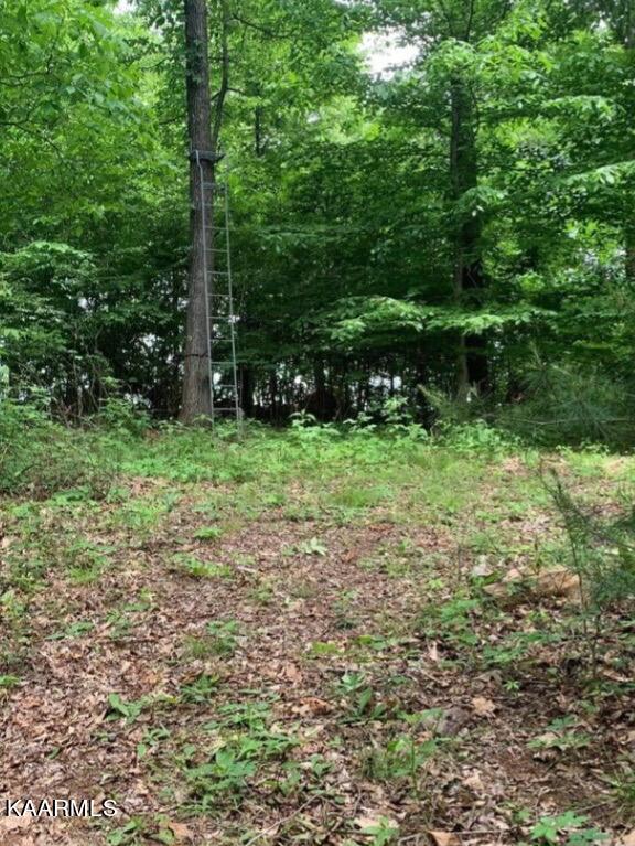 Tbd Wolf Creek Road Del Rio, TN 37727 - Photo 2 of 6 6BFEC334-CDC3-4BF3-9C04-5A304BF95112