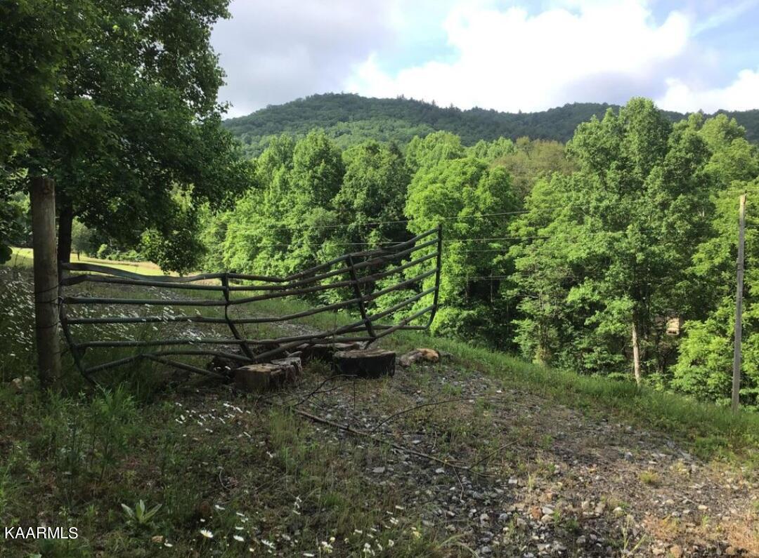 Tbd Wolf Creek Road Del Rio, TN 37727 - Photo 5 of 6 F1628186-8D4D-45F2-B158-7619AD363A75