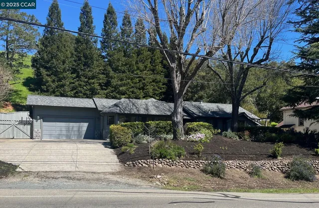 a view of a yard and tree s