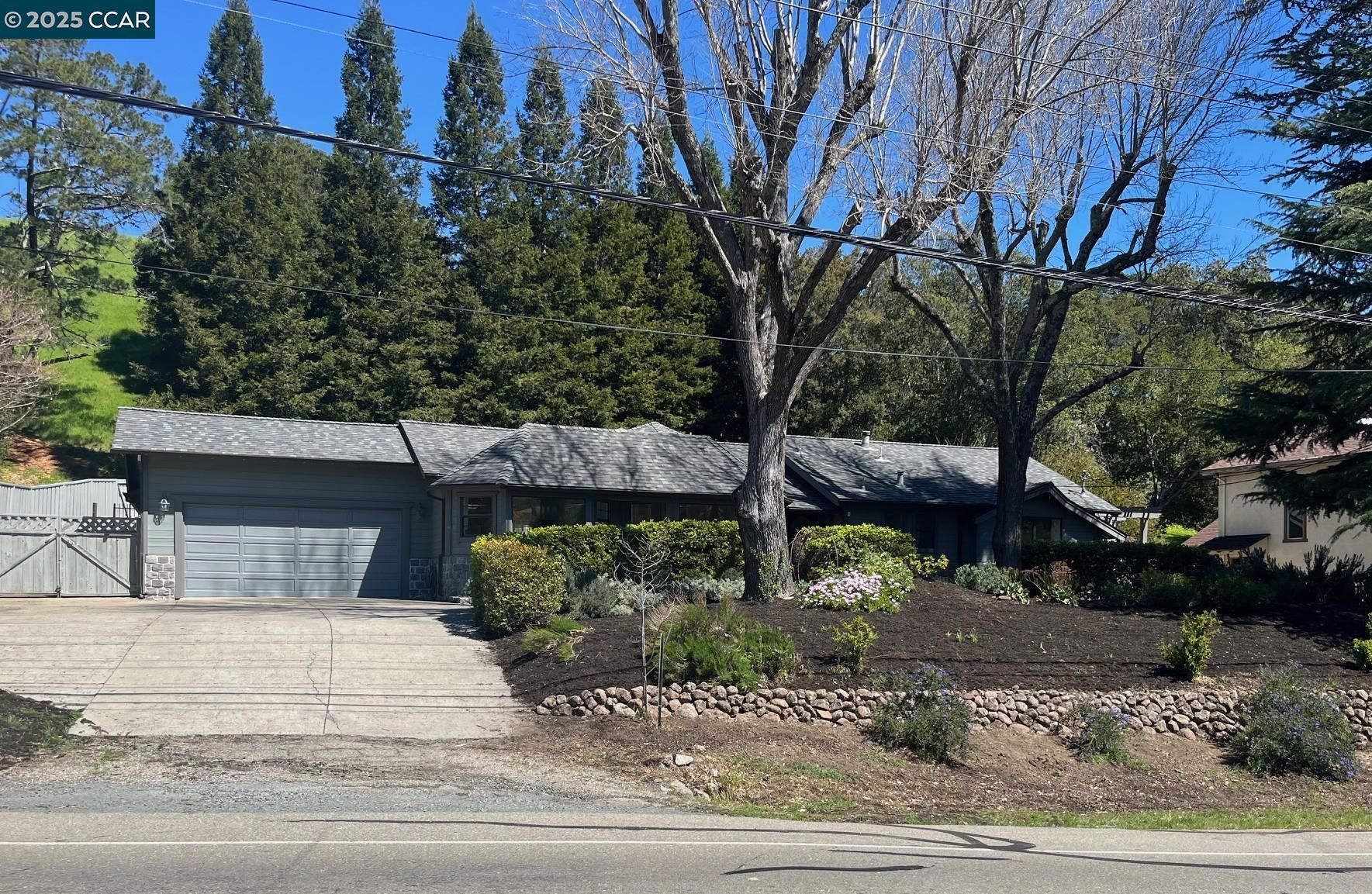 a view of a yard and tree s