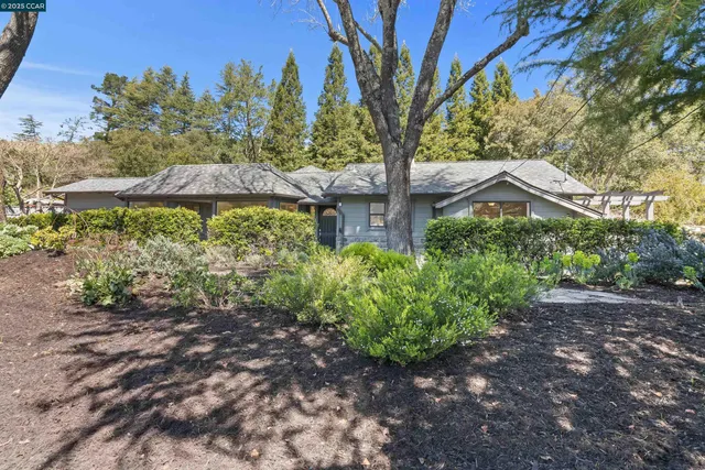 a view of a garden with a tree