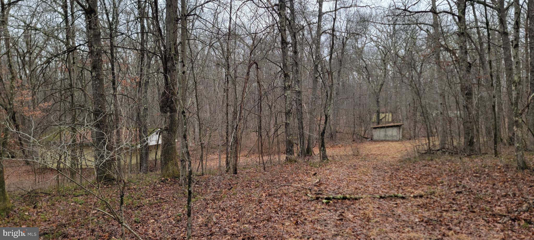 Camp Galilee Road Terra Alta, WV 26764 - Photo 33 of 40