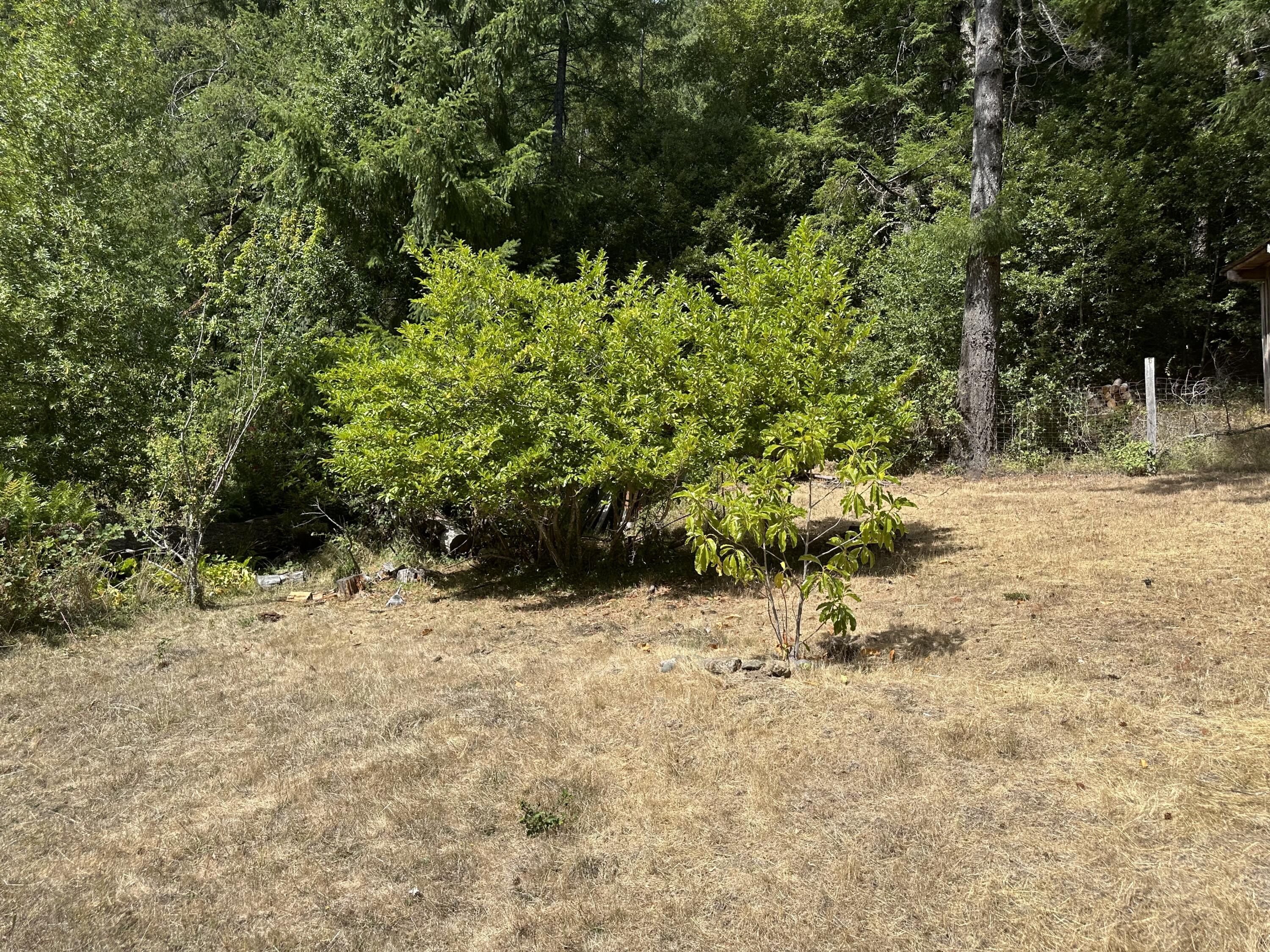 3820 Thomas Road Miranda, CA 95553 - Photo 55 of 97