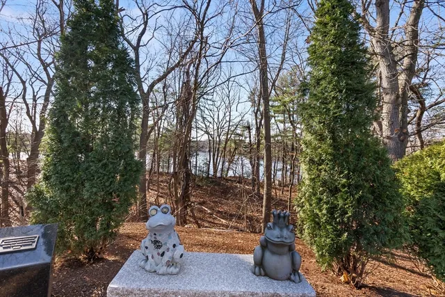 a view of a yard with plants and trees