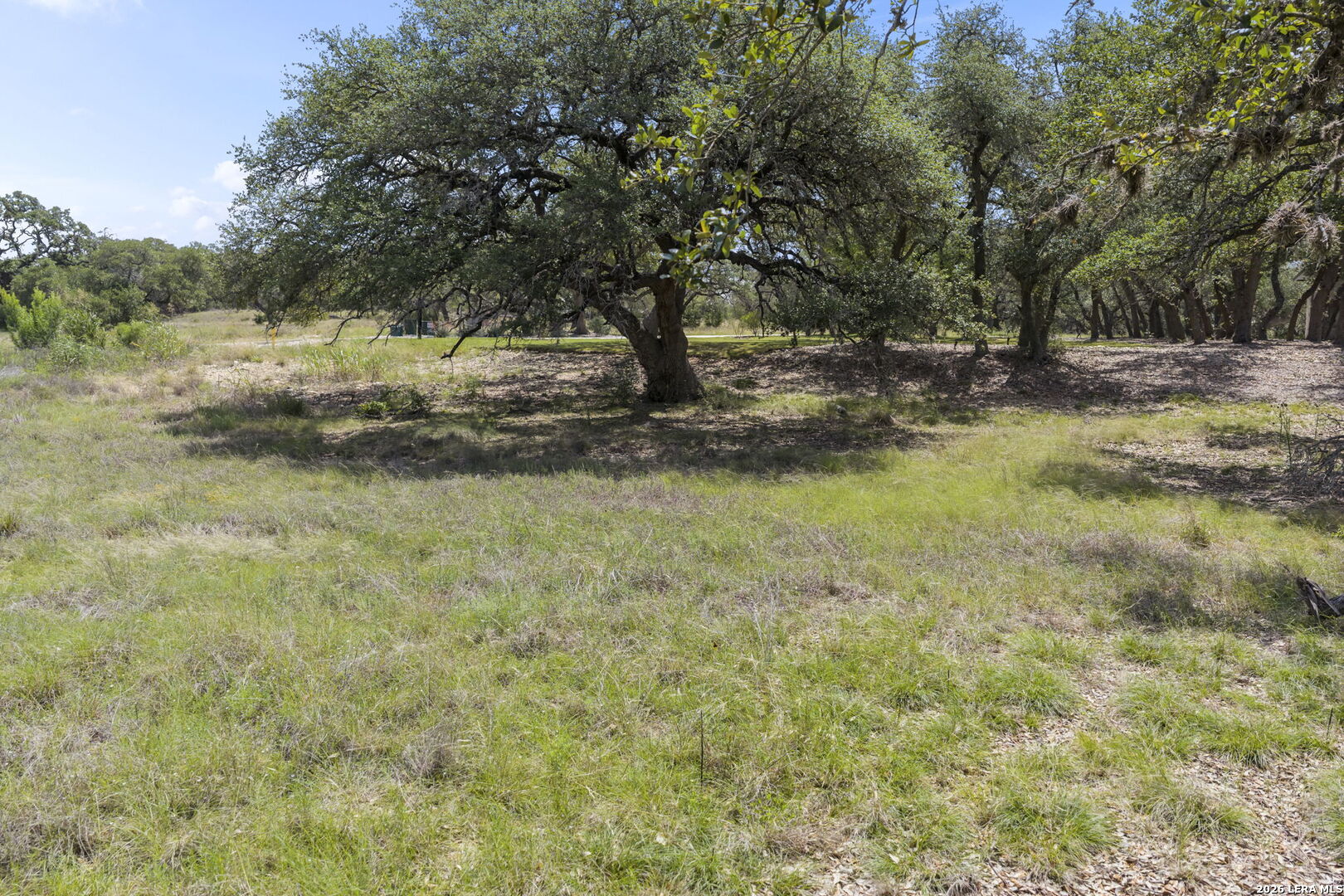 775 Green Gate View Bulverde, TX 78163 - Photo 29 of 31