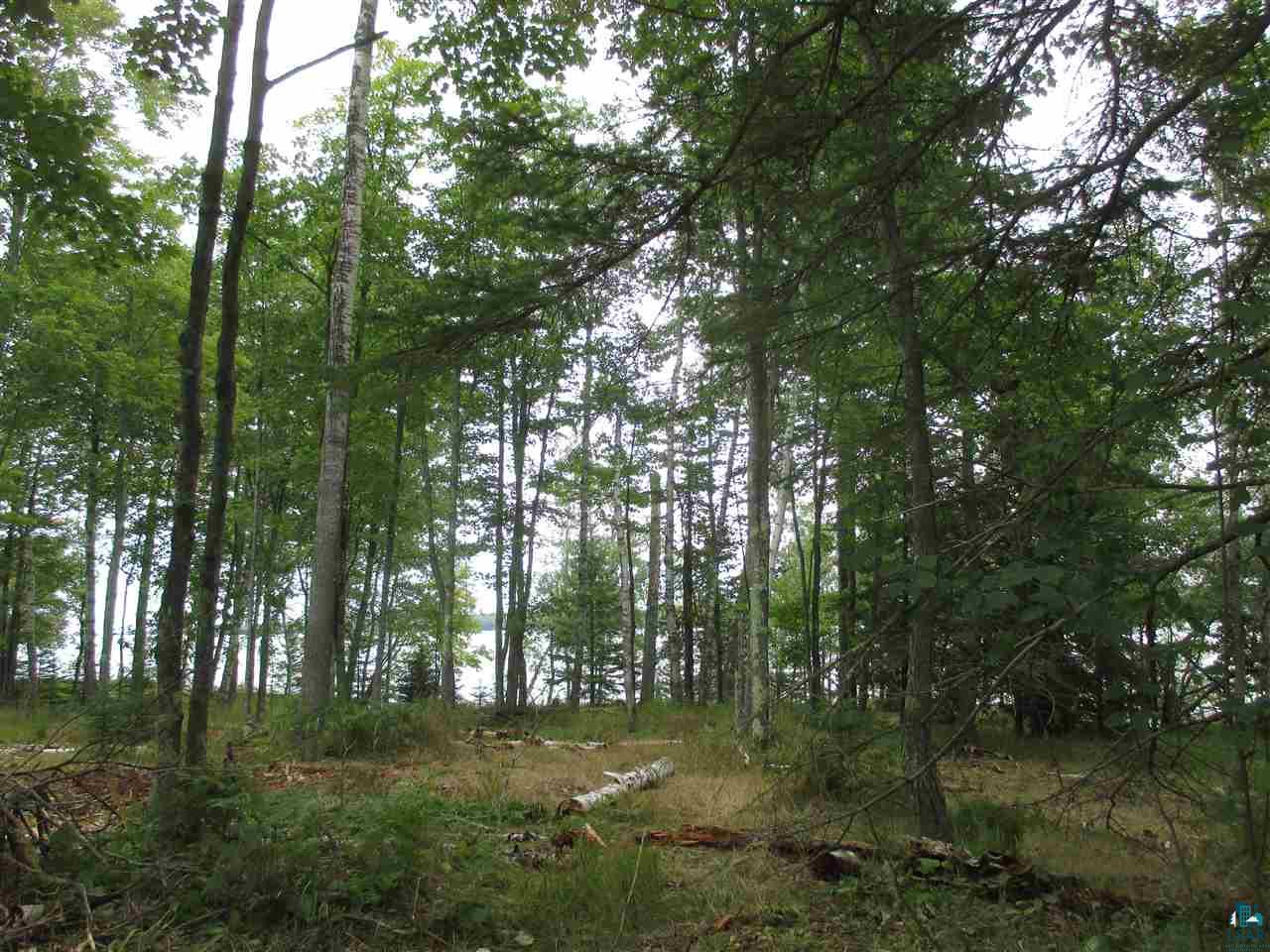 Xx East Romans Point Road Herbster, WI 54844 - Photo 14 of 17 Gallery Image 14