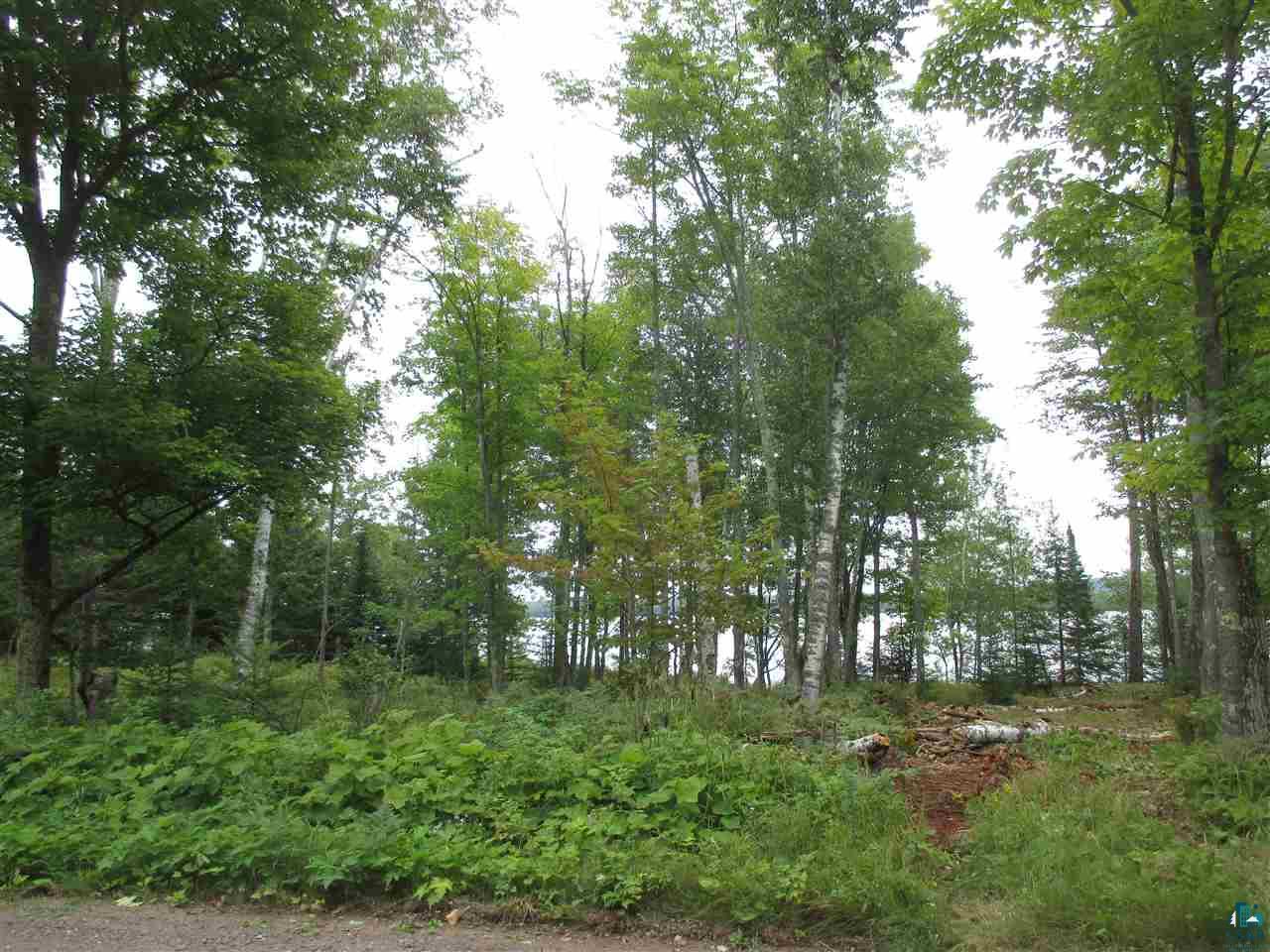 Xx East Romans Point Road Herbster, WI 54844 - Photo 15 of 17 Gallery Image 15