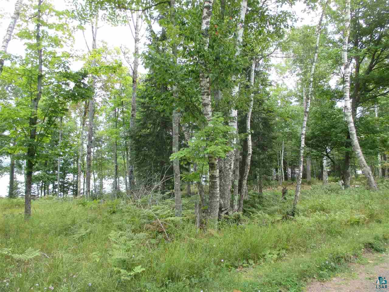 Xx East Romans Point Road Herbster, WI 54844 - Photo 16 of 17 Gallery Image 16