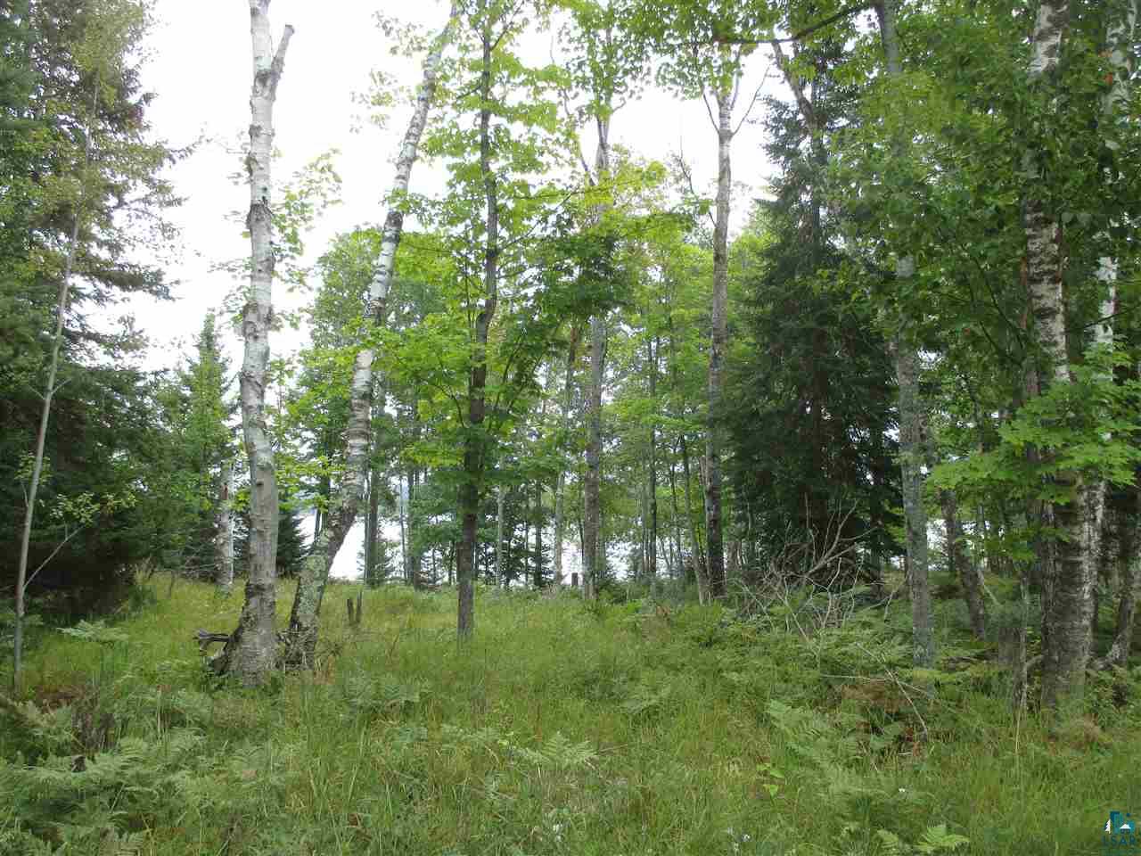 Xx East Romans Point Road Herbster, WI 54844 - Photo 4 of 17 Gallery Image 4