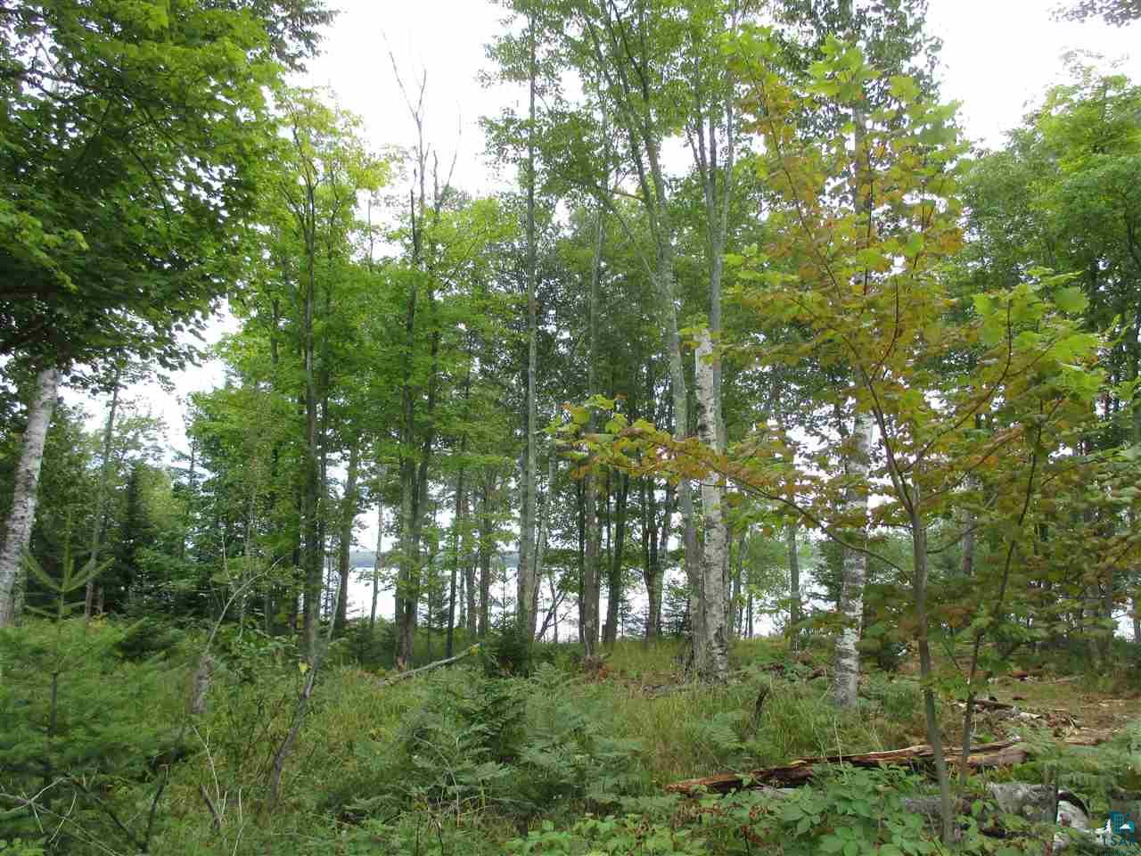 Xx East Romans Point Road Herbster, WI 54844 - Photo 5 of 17 Gallery Image 5