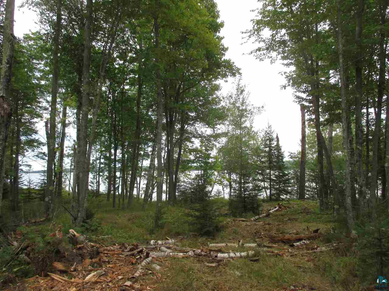 Xx East Romans Point Road Herbster, WI 54844 - Photo 6 of 17 Gallery Image 6